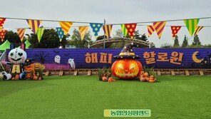 안성팜랜드, 할로윈 이벤트 더한 코스모스 꽃밭으로 초대