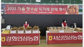 농협경제지주, 인삼의 날 햇수삼 특판 행사 실시