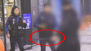 문래동 길거리서 러시아인 흉기 난동…실탄 쏴 체포 (영상)