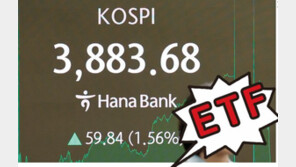 올 들어 130% 급등… 상승장에서 빛난 집중투자형 ETF