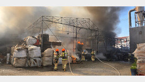 인천 오류동 목재 공장서 불…1시간20분 만에 완진
