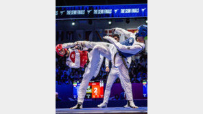 태권도 장준, 세계선수권대회 남자 63㎏급 동메달