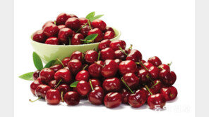 약보다 달콤한 휴식, 한 줌의 체리[정세연의 음식처방]