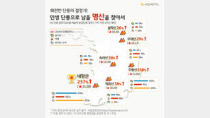 ‘단풍 절정기’ 상권 매출 쑥…내장산 237%·주왕산 158%↑