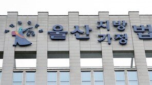 필로폰 투약하고 영천~포항 35㎞ 운전한 50대 징역 2년6개월