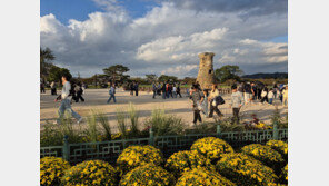 APEC 맞은 경주 첨성대…‘별을 삼킨 돌탑, 예술이 되다’