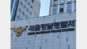 강남 한복판서 음주운전…행인 치어 숨지게 한 30대 남성 체포