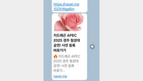 “지드래곤 APEC 첨성대 공연은 가짜” 경주시, 허위 게시물 주의 당부