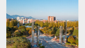 KAIST 등 4대 과기원 수시 지원 5년中 최고…의대는 최저