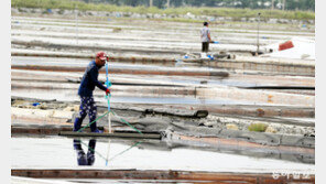 ‘강제 노동’ 논란 신안 태평염전 “문화유산 지위 스스로 반납”