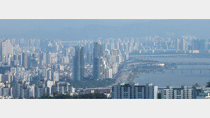 토허제 이후 1주일간 37건뿐… ‘거래절벽’ 본격화