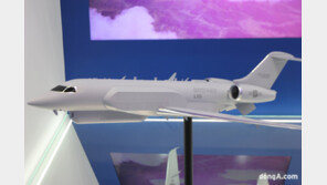 LIG넥스원·대한항공, 전자전기 사업 사실상 낙찰…최첨단 신기술도 공개