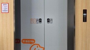 [고양이 눈]함께 사는 법