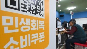 [단독]카드사, 소비쿠폰 선지급때문에 이자만 80억 물었다