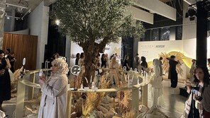  코엔커머스(Koen Commerce), ‘스킨1004’로 중동 시장 공략 본격화