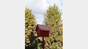 [고양이 눈]가을에 쓰는 편지