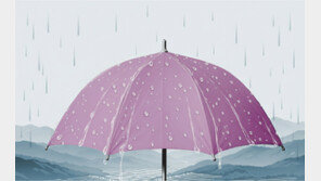 역대급 가뭄 뒤 역대급 10월 장마… 고온 바다가 만든 영동 ‘극단 기후’