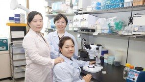 “산모 체내에 쌓인 미세플라스틱, 아이 면역력 약화시킨다”