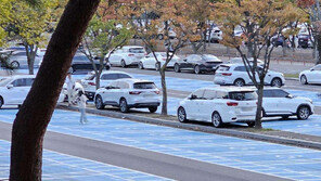 “인도까지 점령”…서울대공원 무질서 주차 ‘눈살’