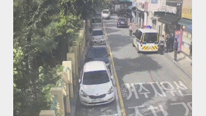 무단횡단 걸리자 “난 美 시민권자” 주장…96억 사기 수배자였다