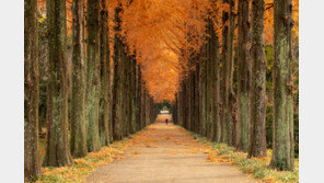 걷기 운동 ‘짧게 여러번 vs 한번에 오래’…뭐가 좋을까