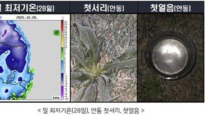 안동서 올가을 첫 서리·얼음 관측, 작년보다 9일 빨라