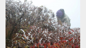 제주도 기온 뚝…영하1도 한라산 백록담엔 올 가을 첫 상고대
