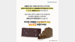 표면 하얗게 변한 초콜릿, 먹을 수 있을까?…“‘이 상태’면 가능”