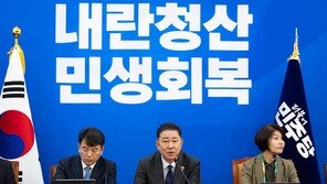 민주당 “대통령 재판중지법 추진, 사법부 태도 따라 결정”