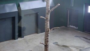 핀란드의 52년된 아타리 동물원, 단돈 1유로(1668원)에 매각