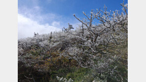제주 한라산서 올해 첫 ‘상고대’…지난해보다 9일 빨랐다