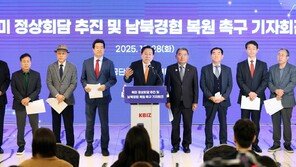 “APEC때 북미회담 추진… 개성공단 재가동해야”