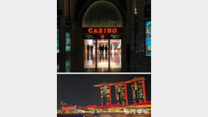 카지노 입장료 10만 원, AI로 감시… 도박 ‘진입장벽’ 높여 중독 차단