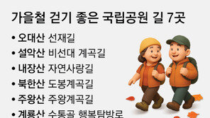 “오대산 선재길-설악산 비선대길… 이 가을 어디로”