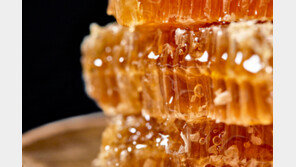 ‘천연당’ 꿀·메이플시럽은 설탕보다 덜 해로울까? 