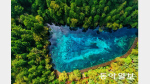 中 쓰촨 주자이거우 방문객 600만 돌파…40여 년 새 최고치