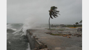 “지붕 뜯기고 거리 잠겼다”…시속 295㎞ 괴물 허리케인, 자메이카 강타