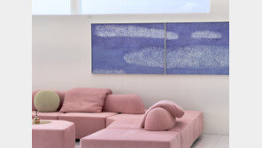  헷세드, 하지혜 작가와 두 번째 협업 전시 ‘다시 찾은 컬렉터의 집’ 개최