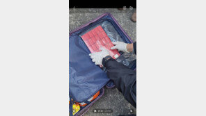 필로폰 4만명분, ‘차 티백’ 속에 쏙…30대 중국인 제주호텔서 체포