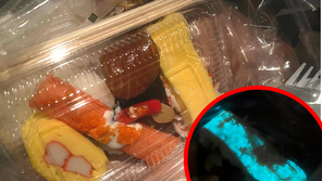 “초밥이 왜 빛나?”…전문가 “어둠 속 박테리아 부패 신호”