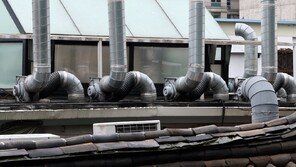 [고양이 눈]지붕 위 비밀 존재