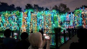 부천 자연생태공원에 1.5km 미디어아트