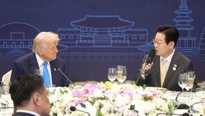 국힘 “한미 관세협상, 외환 시장 ‘부담의 씨앗’인지 드러날 것”