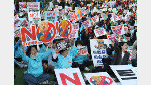 “No King” “트럼프 환영” 엇갈린 시위