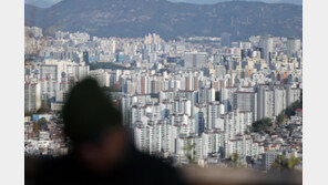 부모에게 29억 빌려 아파트 구매…부동산 불법 거래 무더기 적발