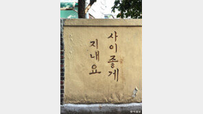 [고양이 눈]다정한 담벼락