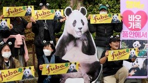 “우리 푸바오 돌려보내주세요” 시진핑 경주 온 날 동물단체 시위