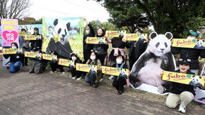 경주에 뜬 푸바오 애호가들 “中, 사육환경 개선을”