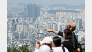토허구역 풍선효과, 경매시장으로…강남3구 매물 ‘올킬’