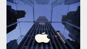 “디자인 최악” 혹평 받던 아이폰17 역대급 반전…밀려든 주문에 팀쿡도 놀랐다